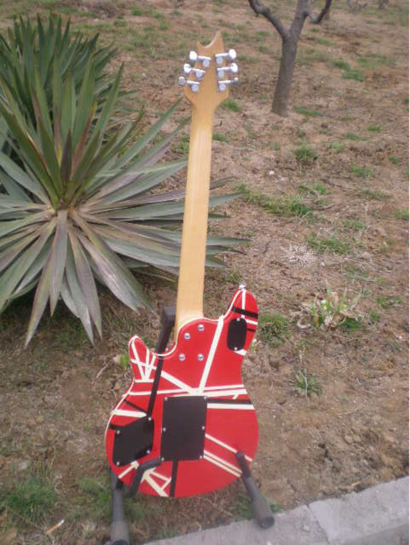 Customize Electric Guitar LSM005