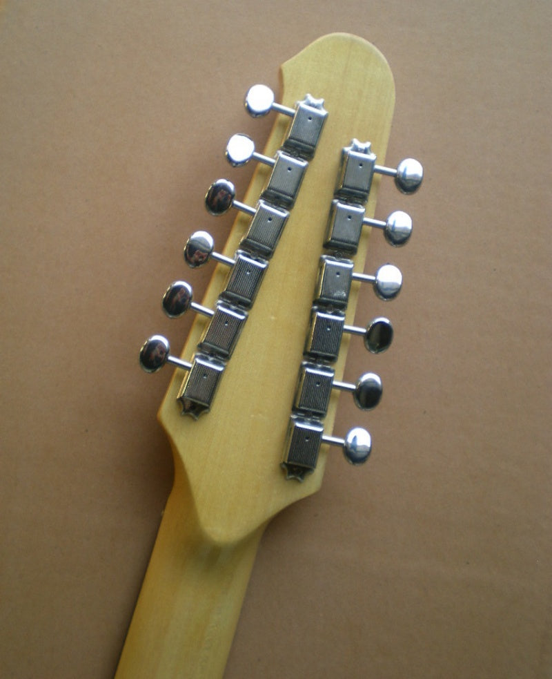 Customize Electric Guitar LSM149