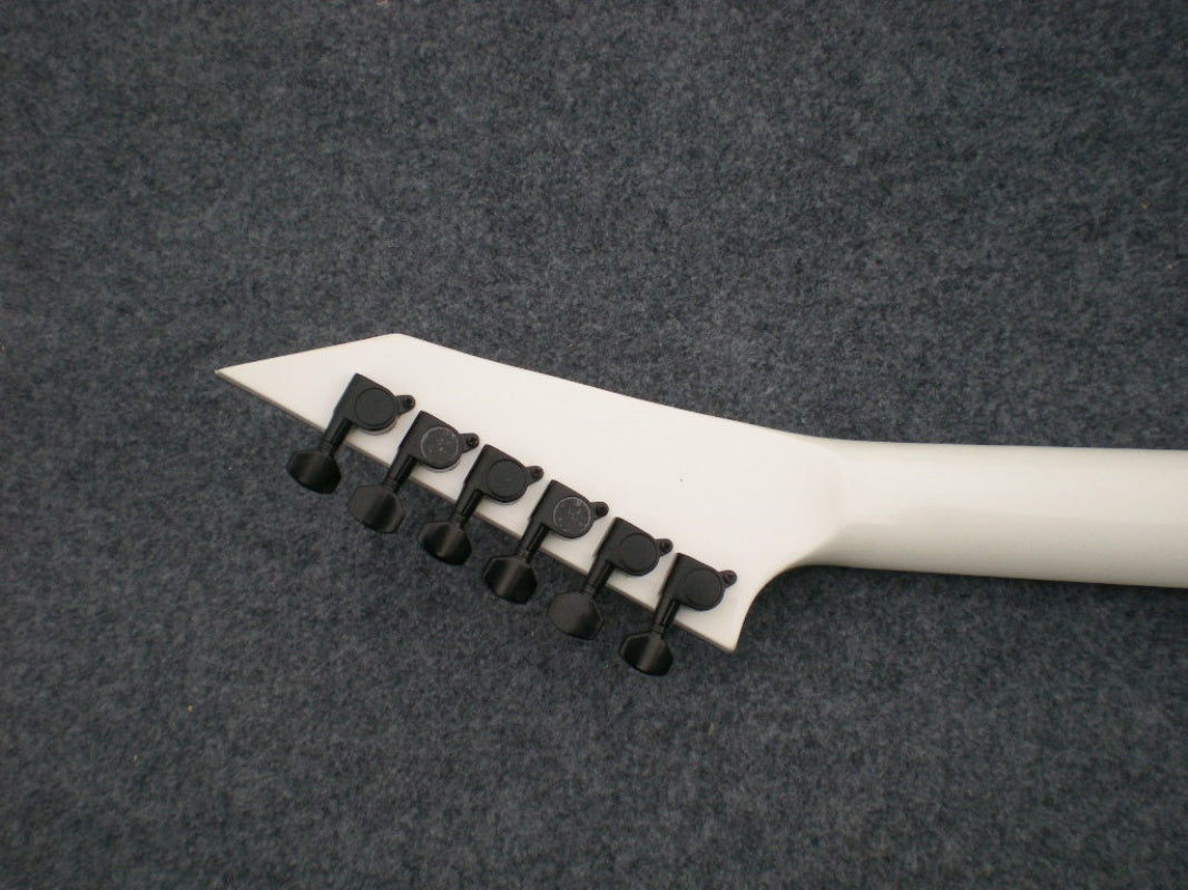 Customize Double Shake Electric Guitar LSM002