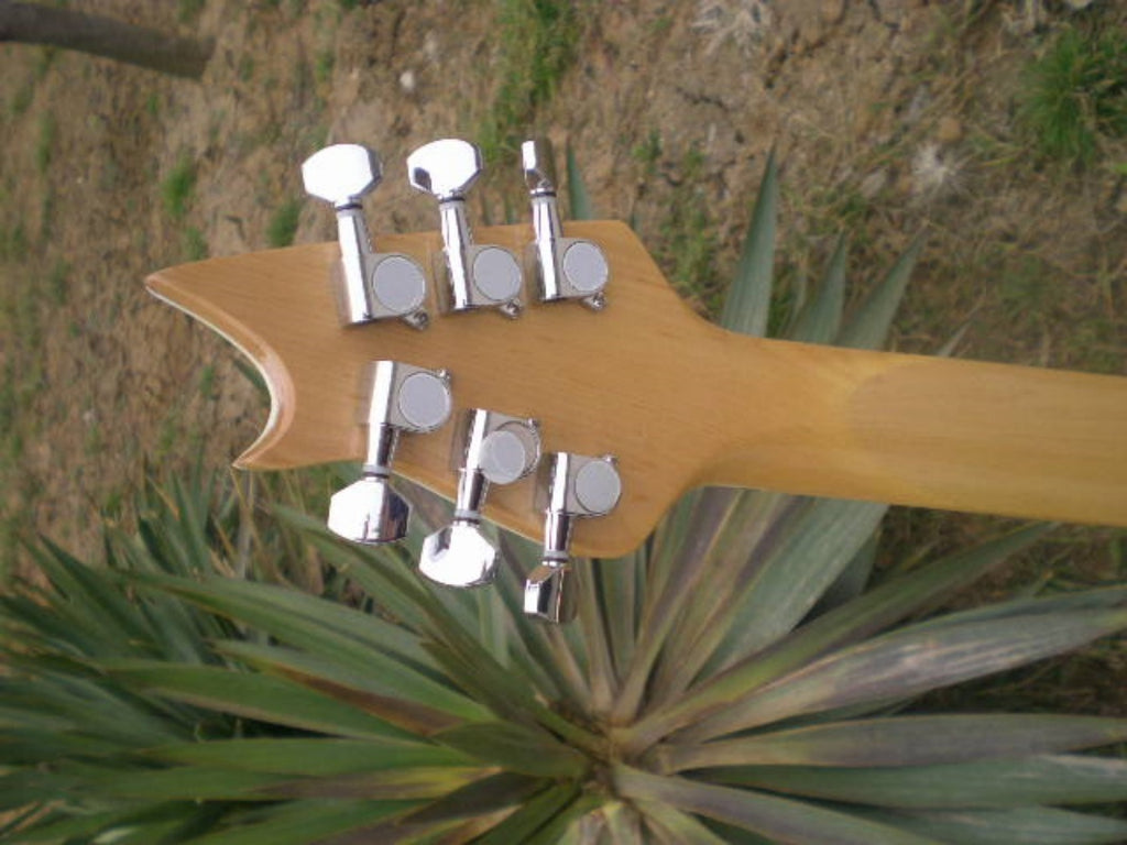 Customize Electric Guitar LSM005