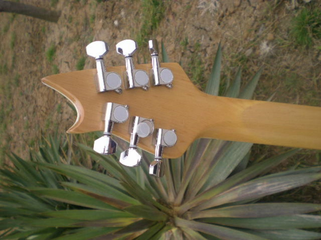 Customize Electric Guitar LSM005