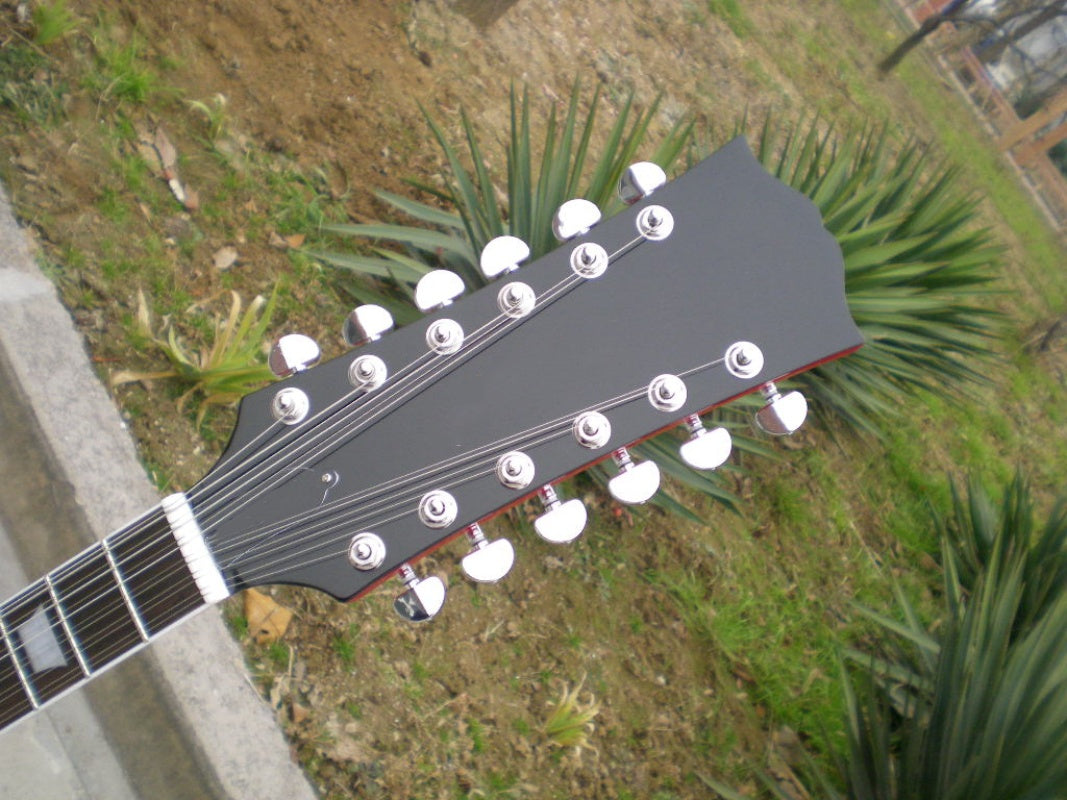 Customize Electric Guitar LSM029