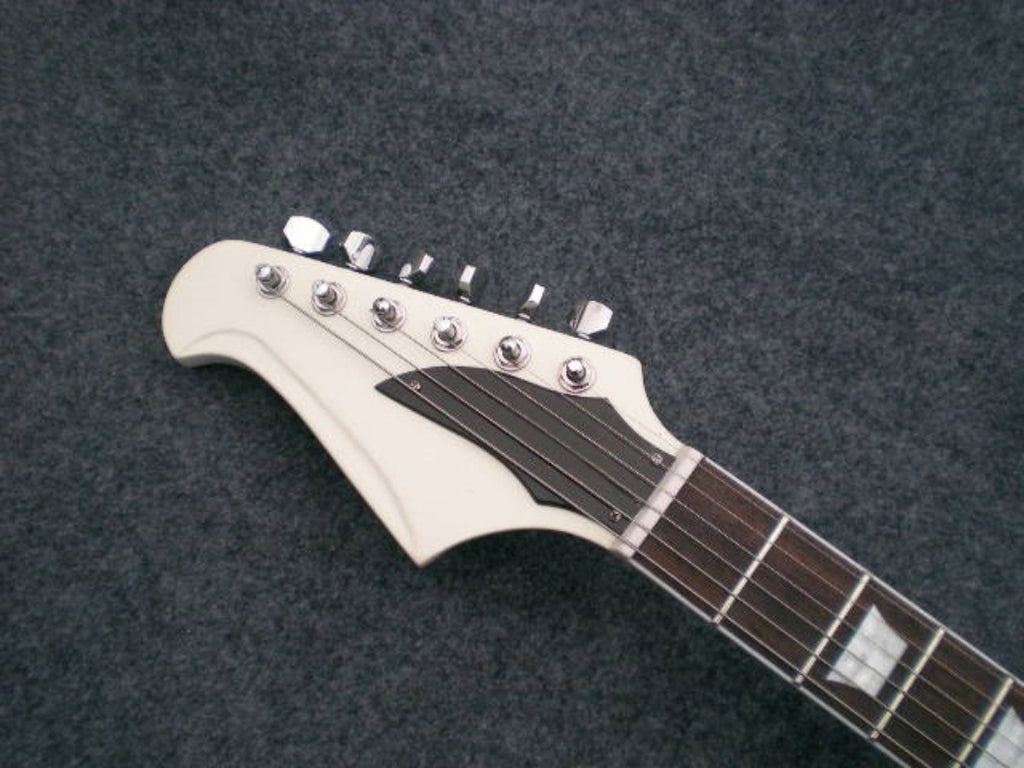 Customize Electric Guitar LSM024