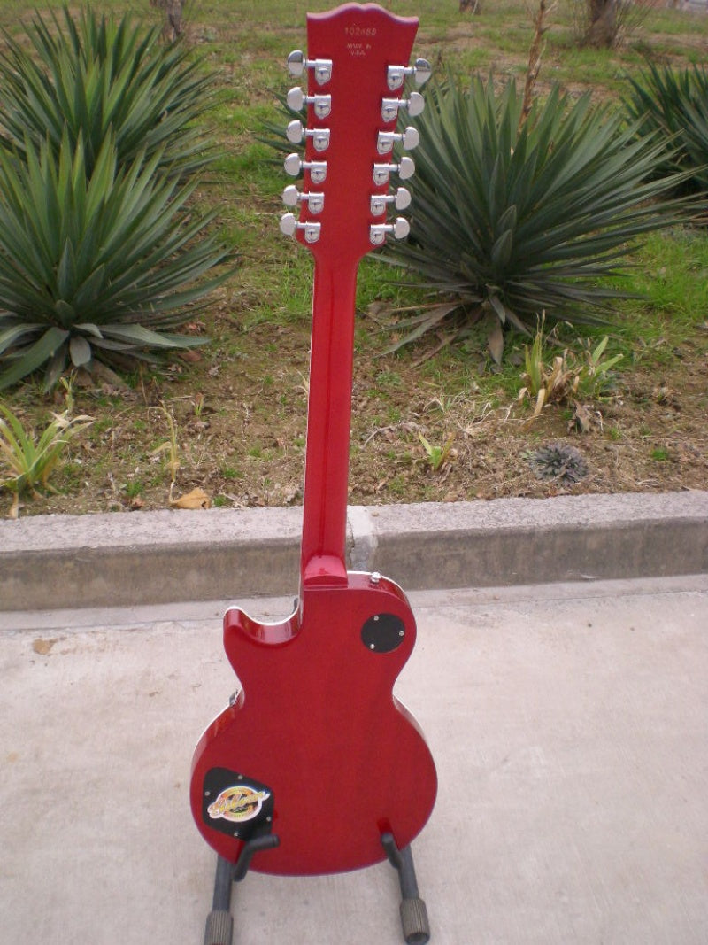 Customize Electric Guitar LSM029