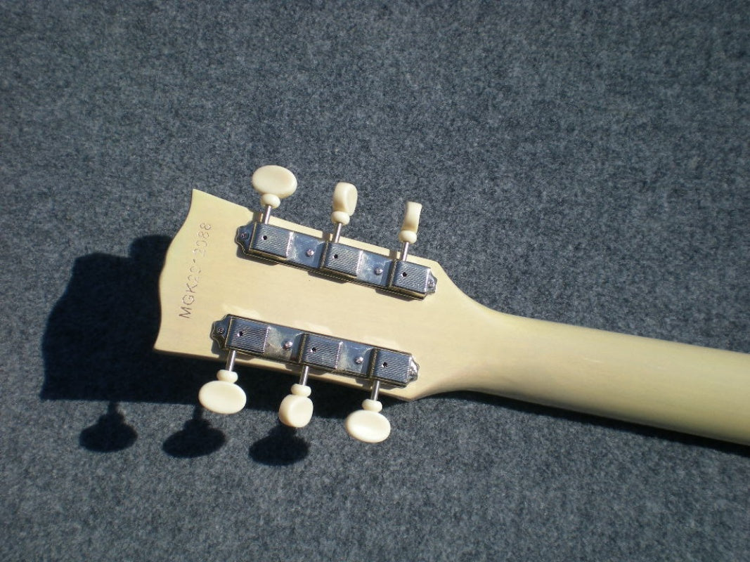 Customize Electric Guitar LSM090