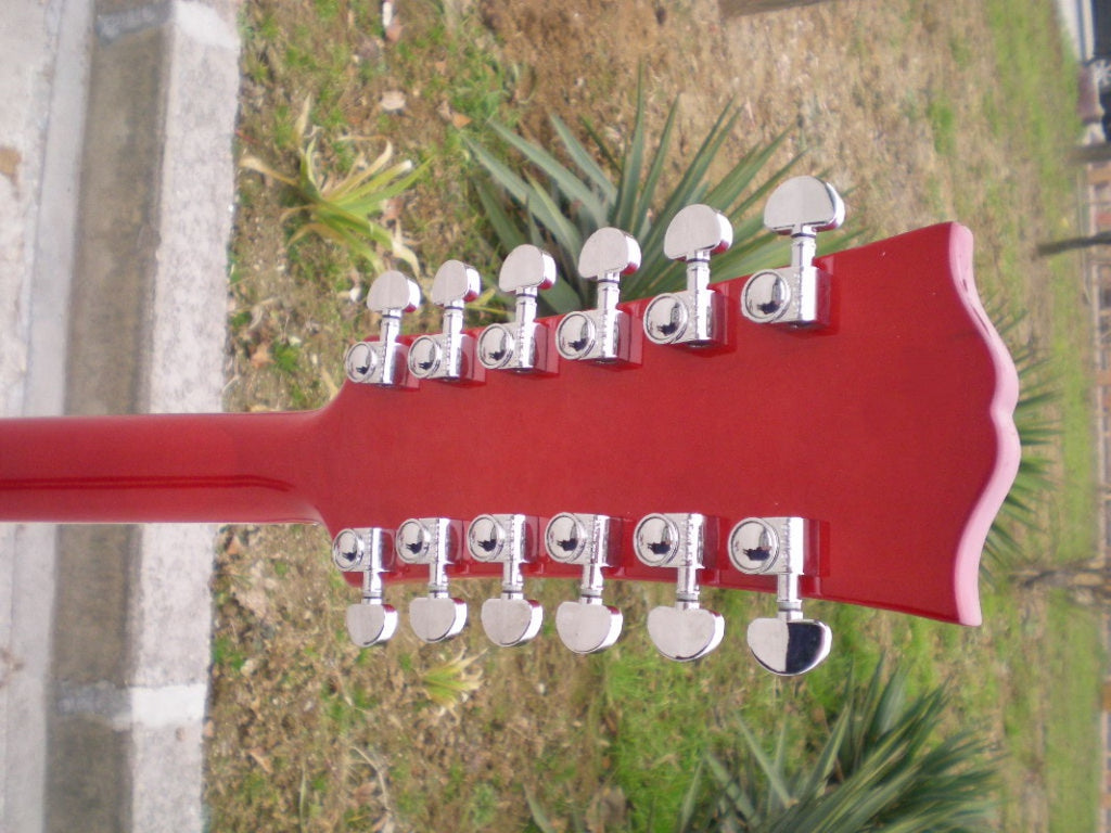 Customize Electric Guitar LSM029