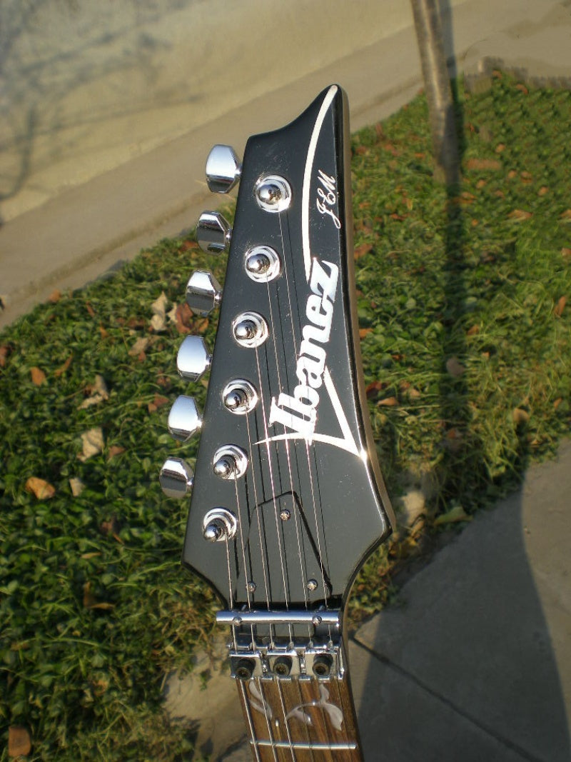 Customize Electric Guitar LSM096
