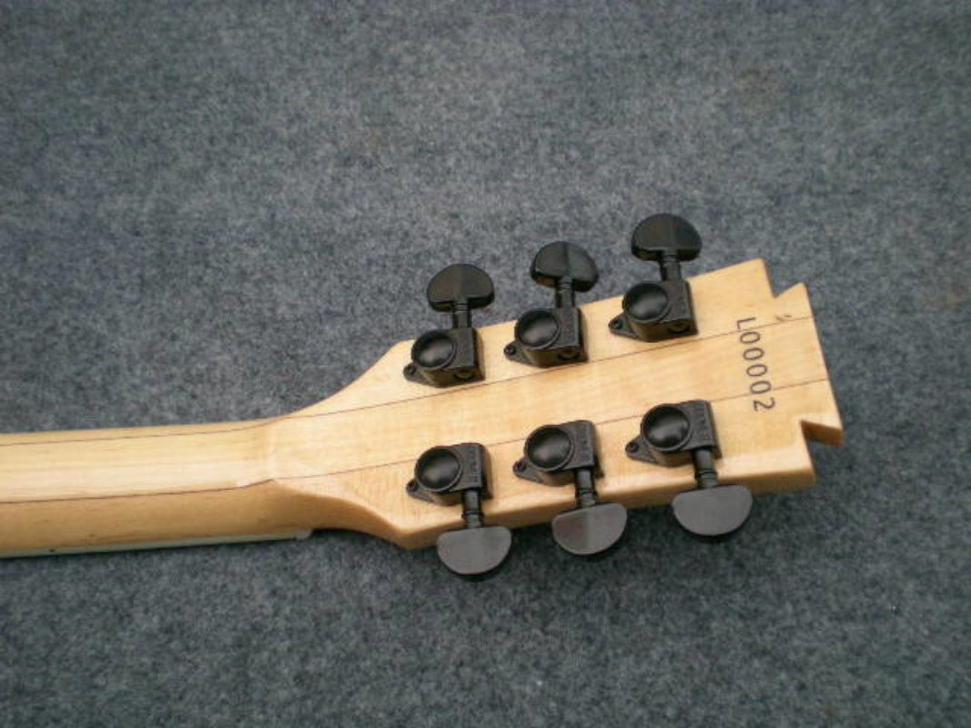 Customize Electric Guitar LSM010