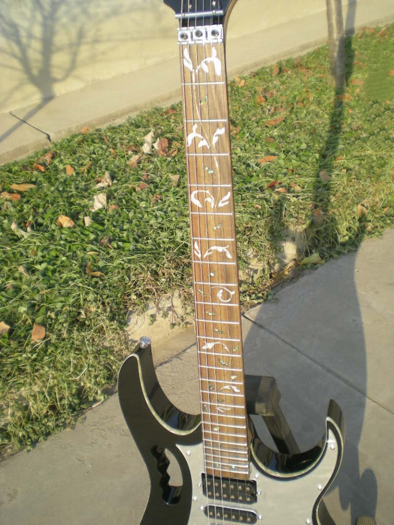 Customize Electric Guitar LSM096