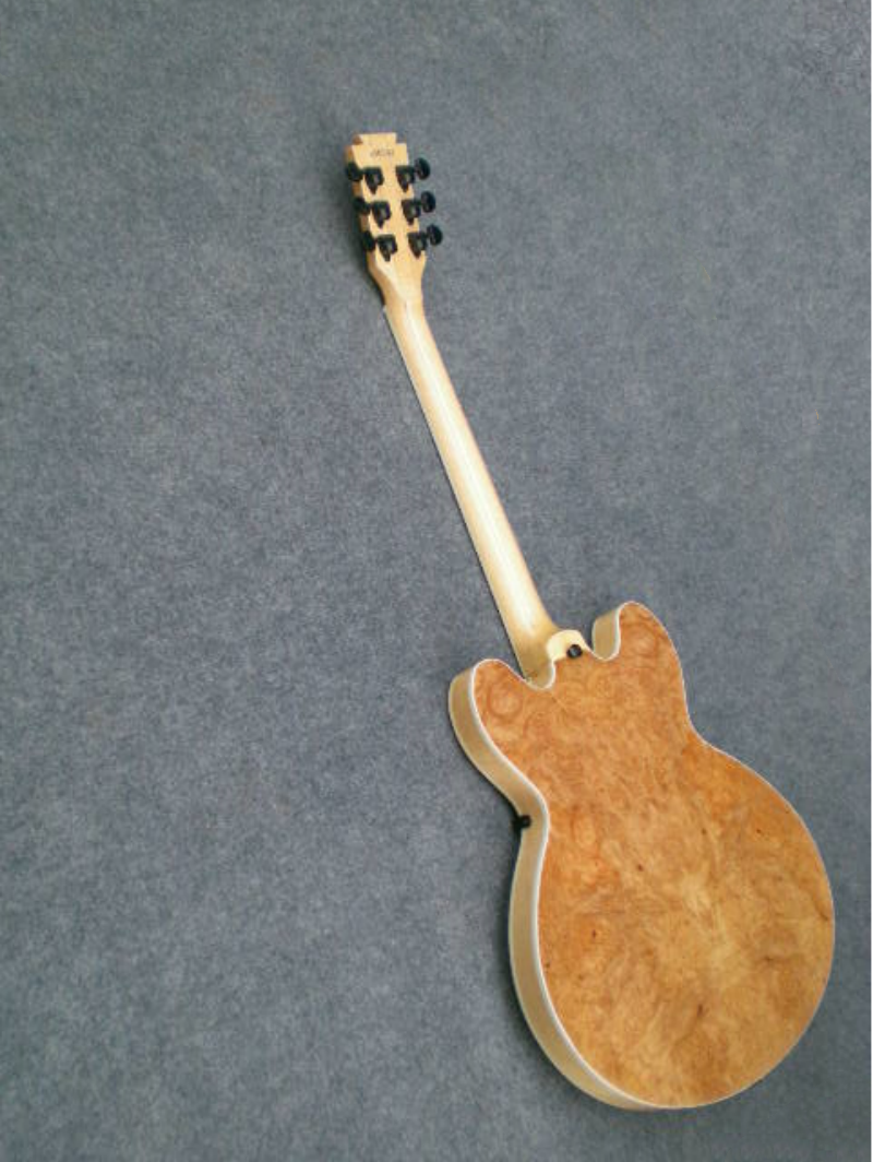 Customize Electric Guitar LSM010