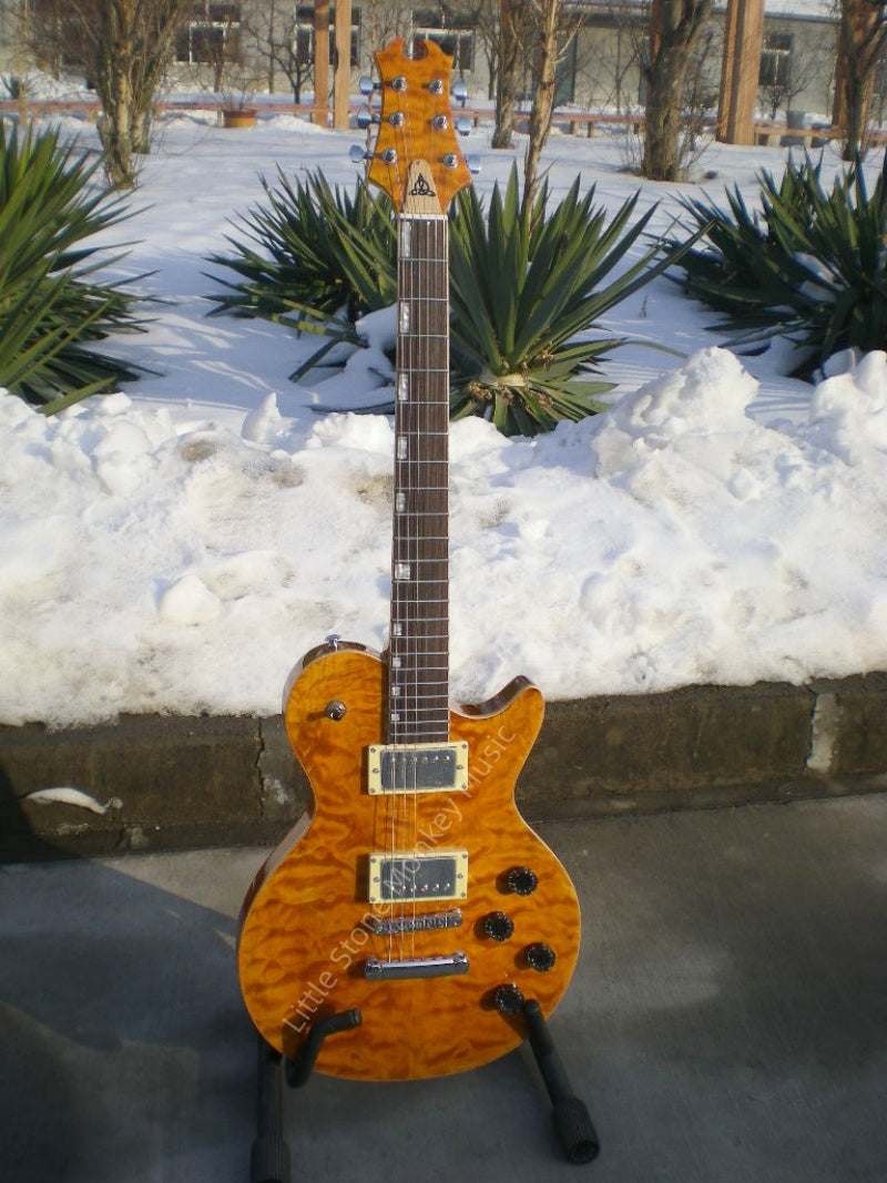 Customize Electric Guitar LSM088