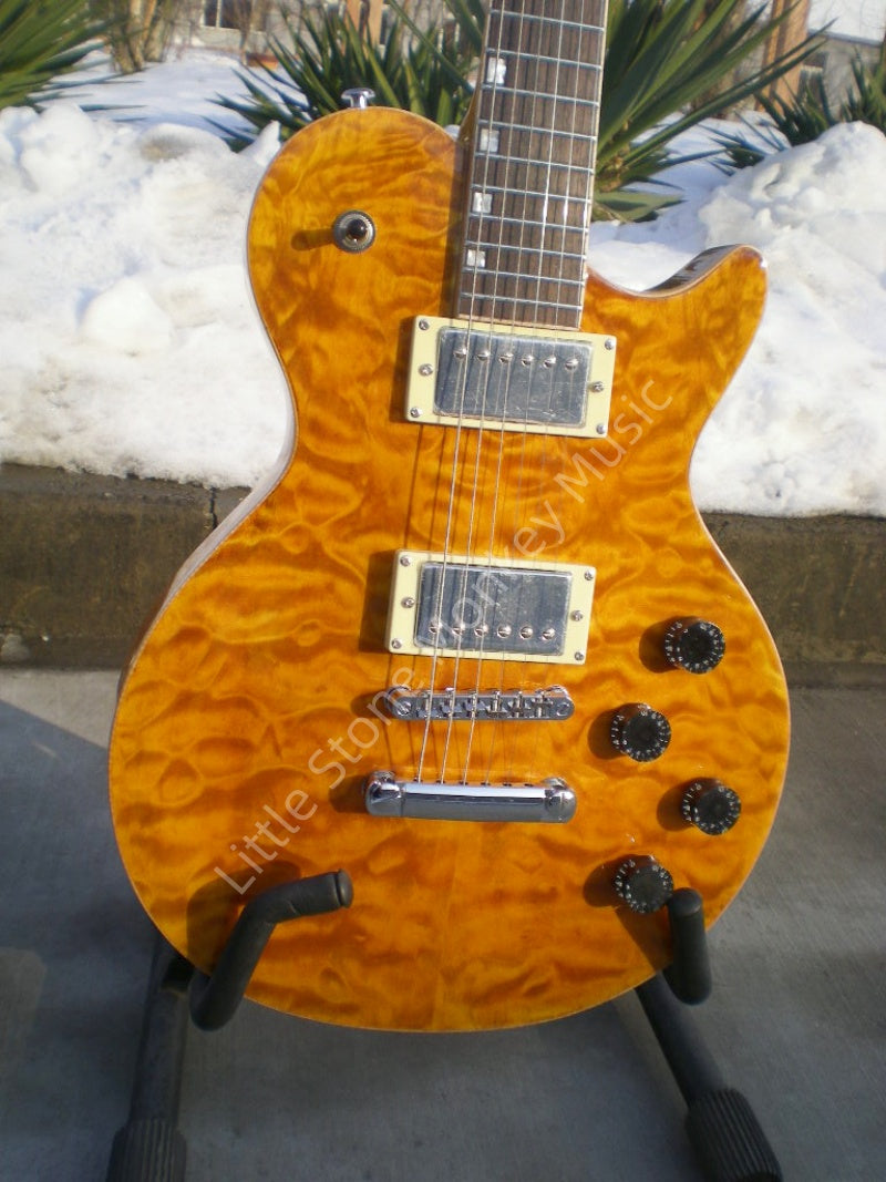Customize Electric Guitar LSM088