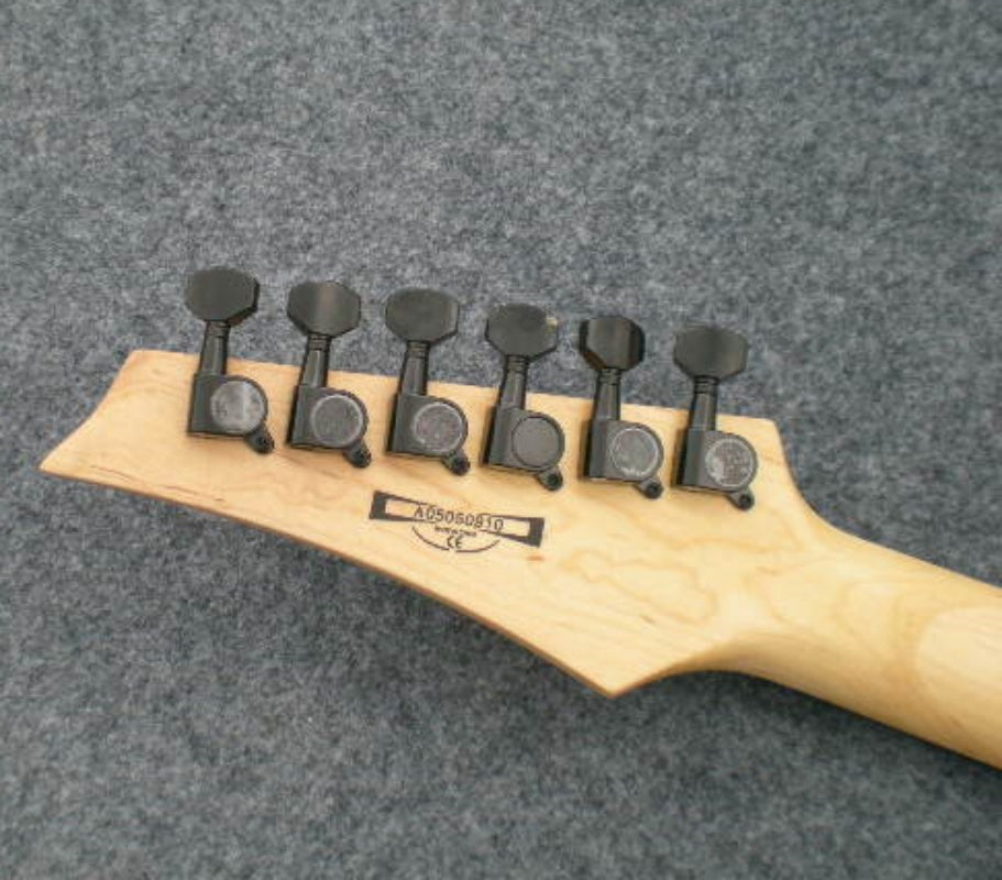 Customize Electric Guitar LSM097