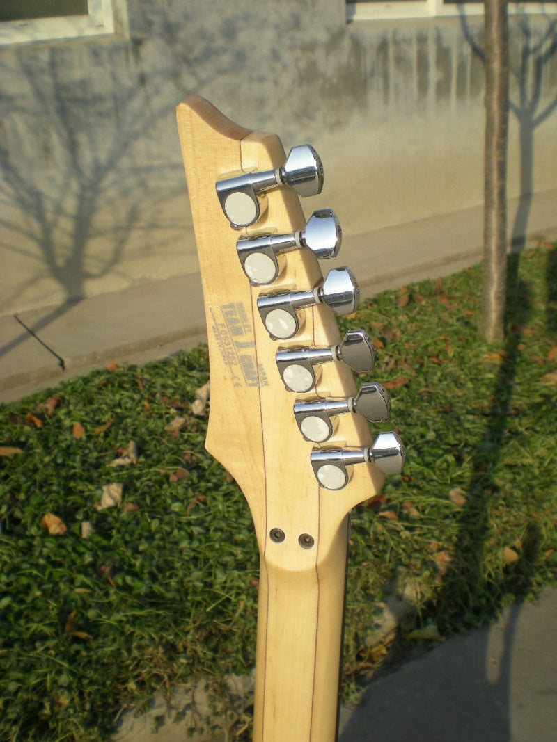 Customize Electric Guitar LSM096