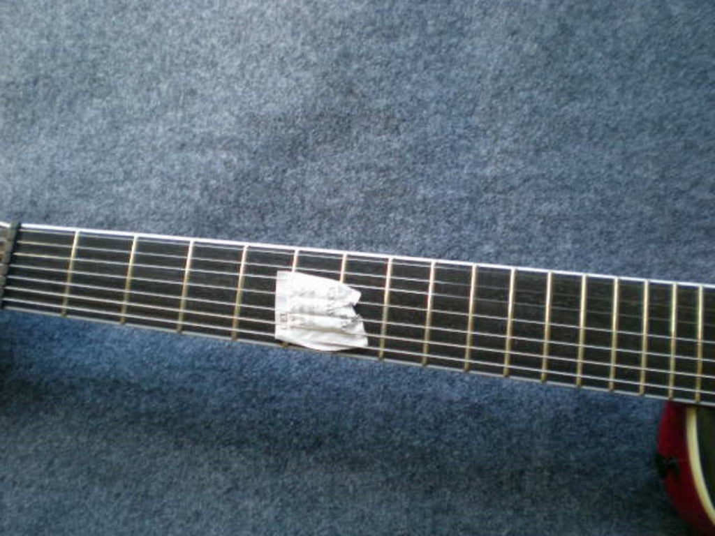 Customize Electric Guitar LSM089