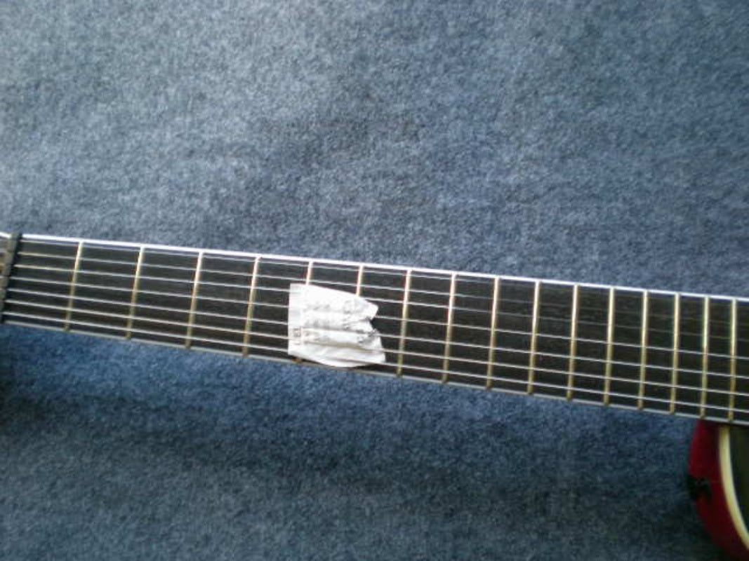 Customize Electric Guitar LSM089
