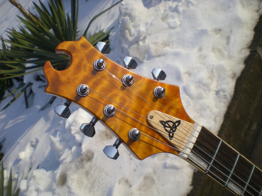 Customize Electric Guitar LSM088