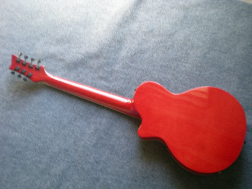 Customize Electric Guitar LSM089