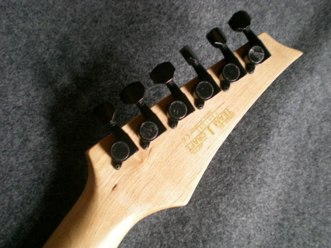 Customize Black Double Tremolo White Electric Guitar LSM099