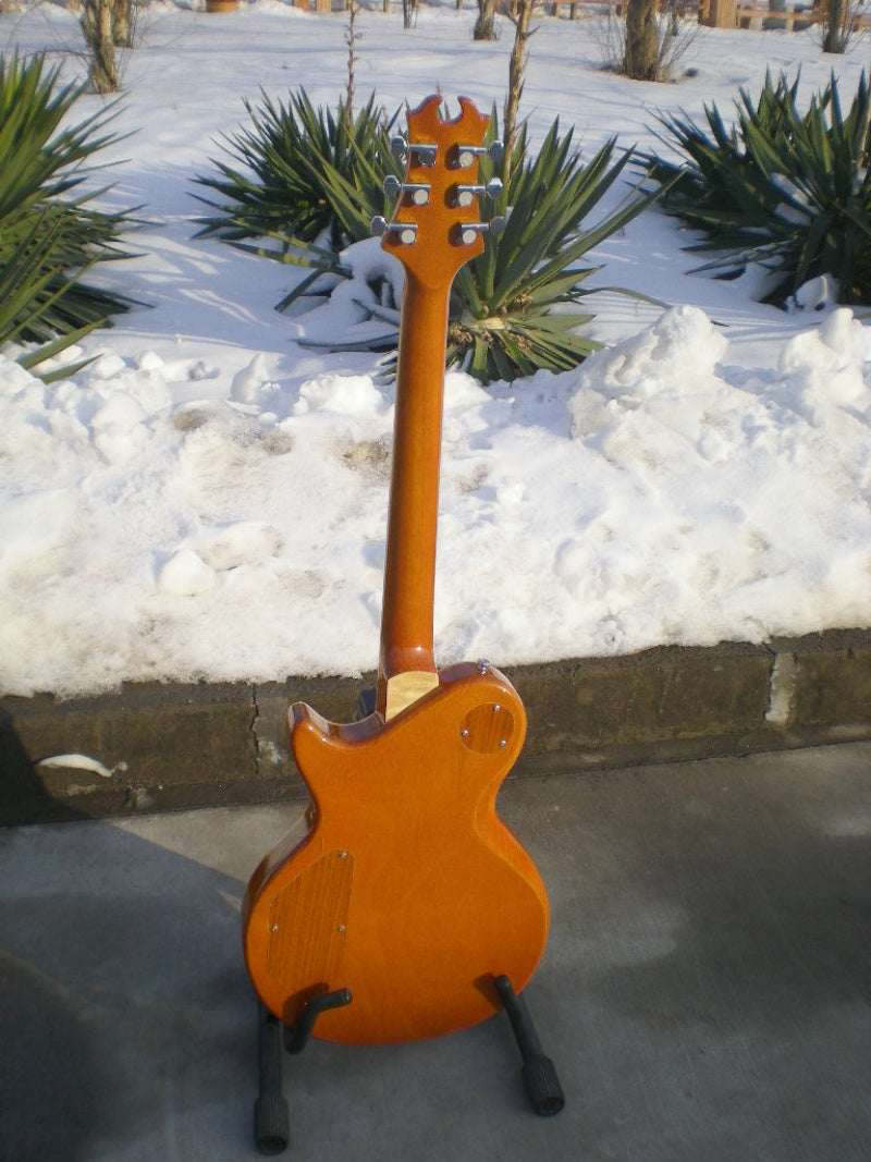 Customize Electric Guitar LSM088