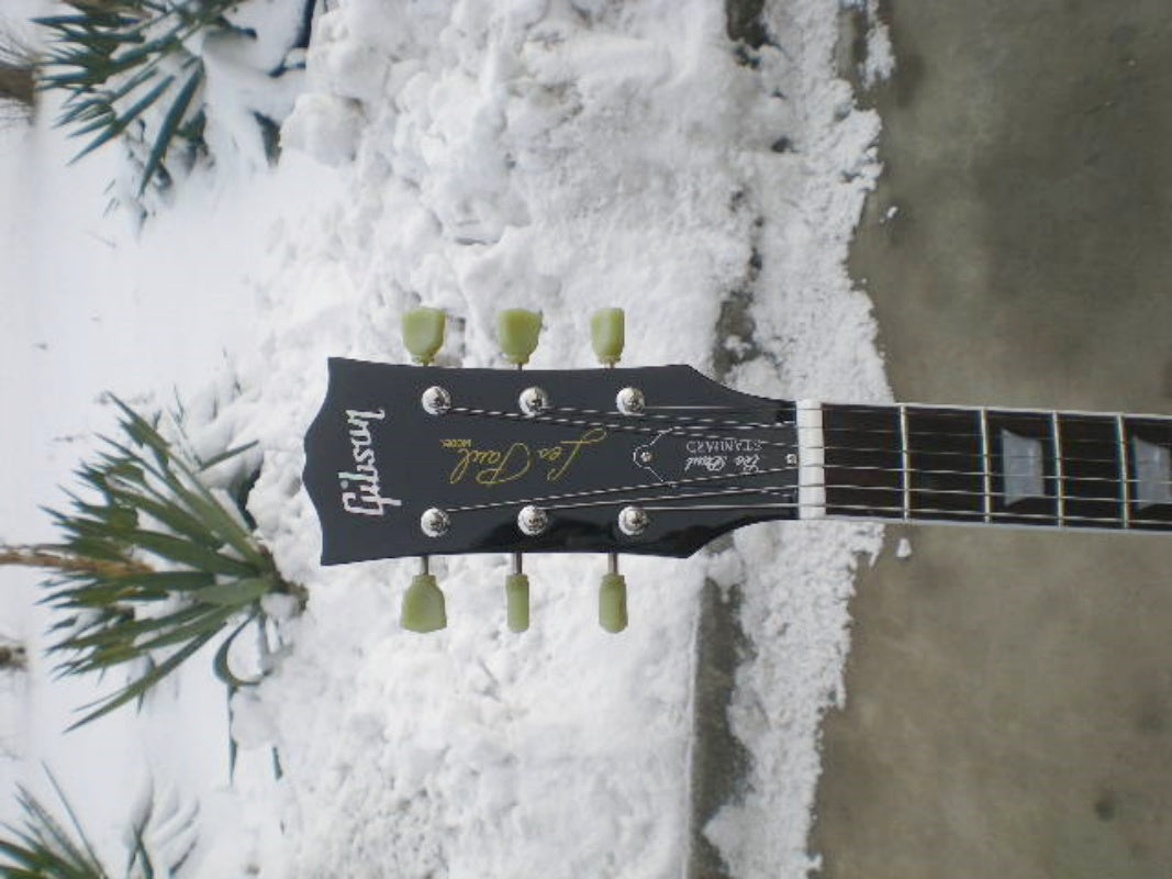 Customize Electric Guitar LSM031