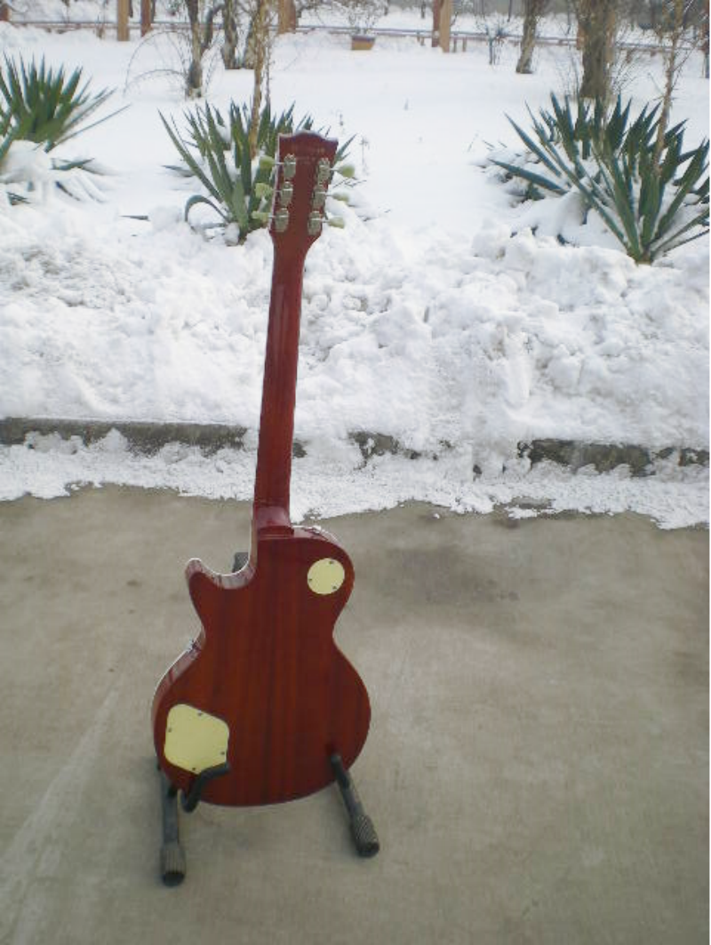 Customize Electric Guitar LSM031