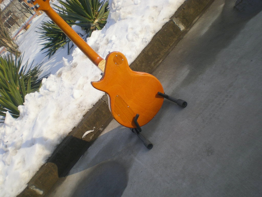 Customize Electric Guitar LSM088