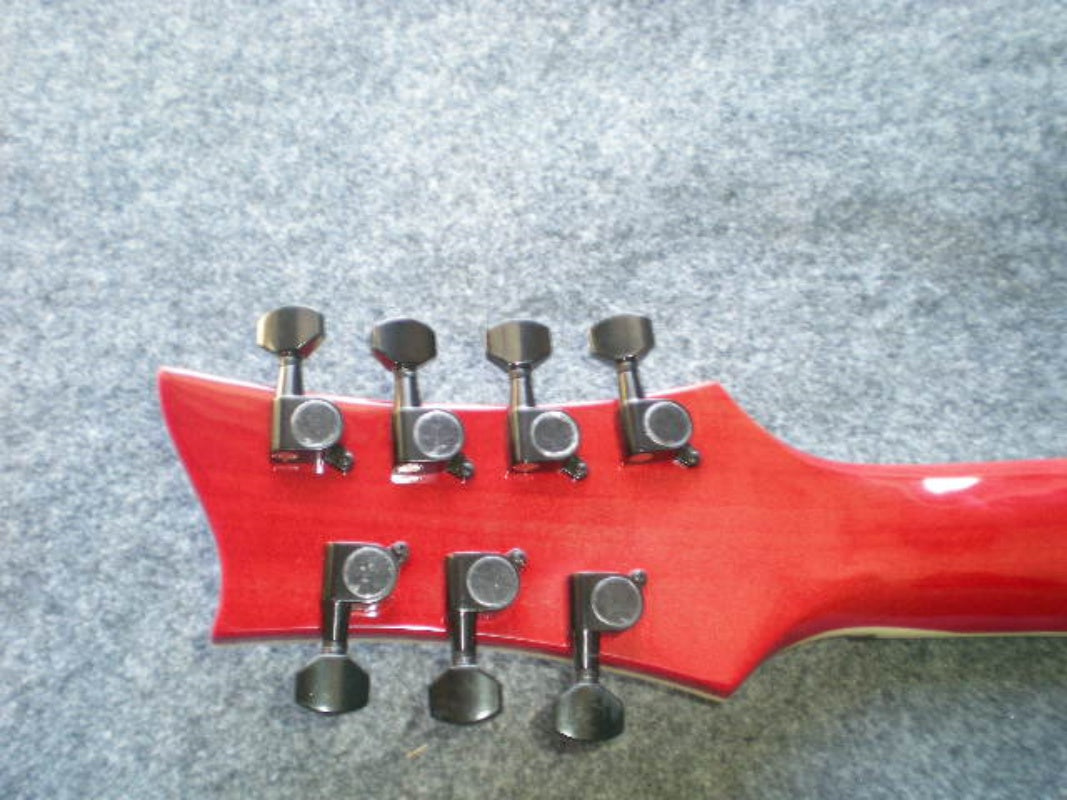 Customize Electric Guitar LSM089