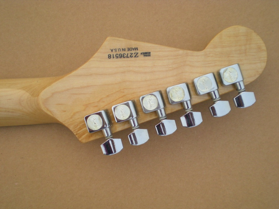 Customize Electric Guitar LSM159