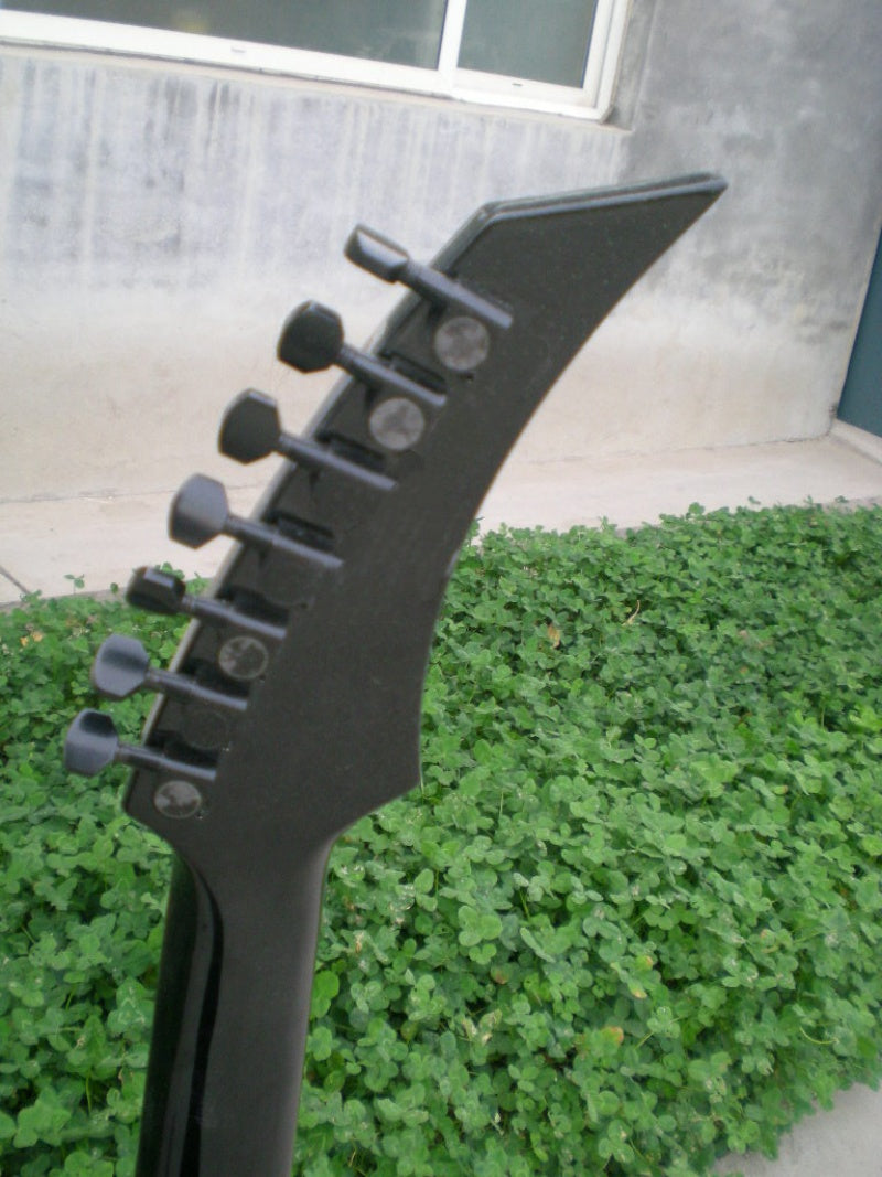 Customize Electric Guitar LSM058