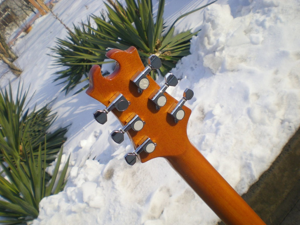 Customize Electric Guitar LSM088