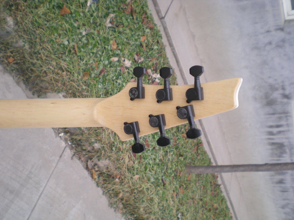 Customize Blue Electric Guitar