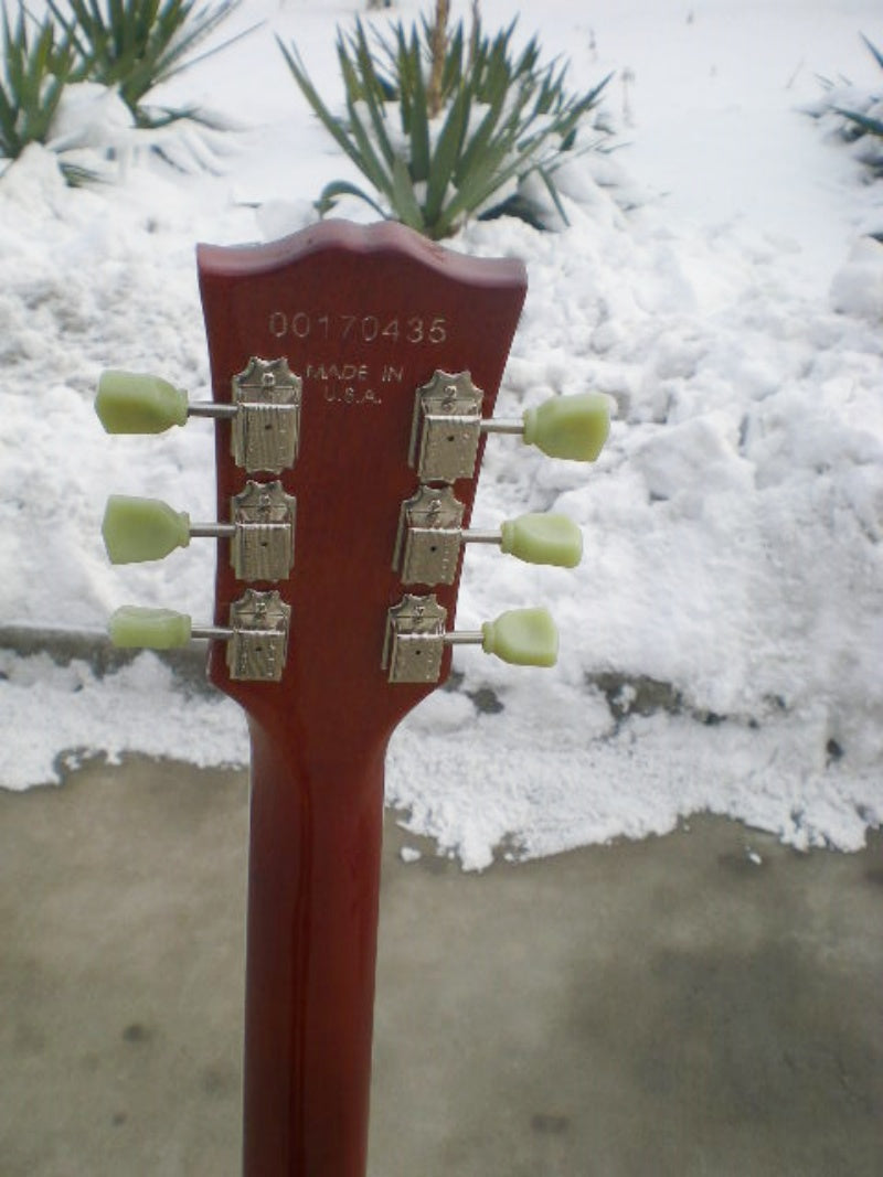 Customize Electric Guitar LSM031