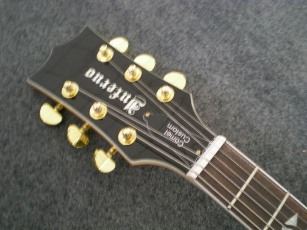 Customize Electric Guitar LSM046