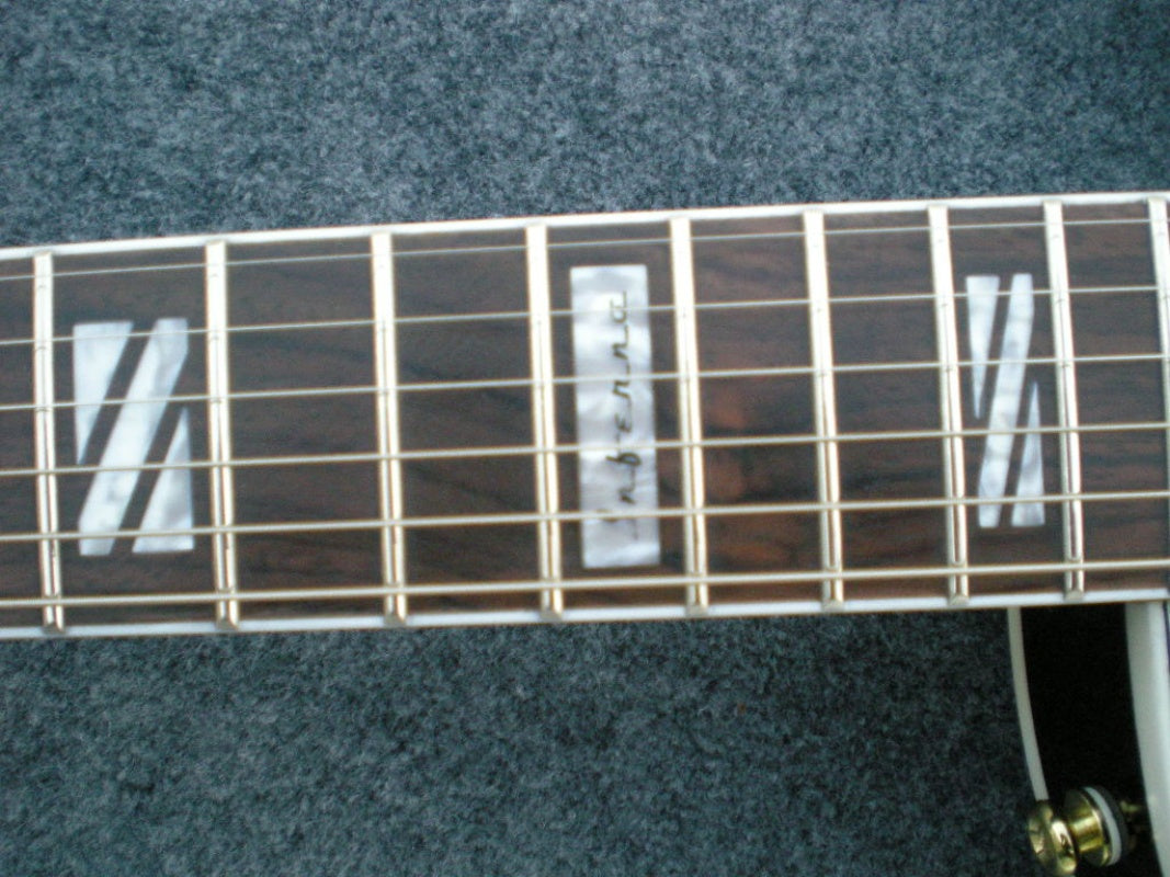 Customize Electric Guitar LSM053