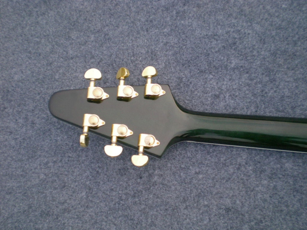Customize Electric Guitar LSM020