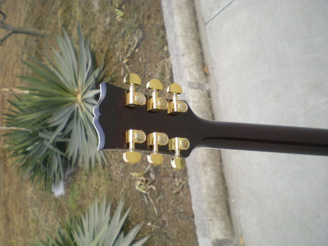 Customize Electric Guitar LSM033