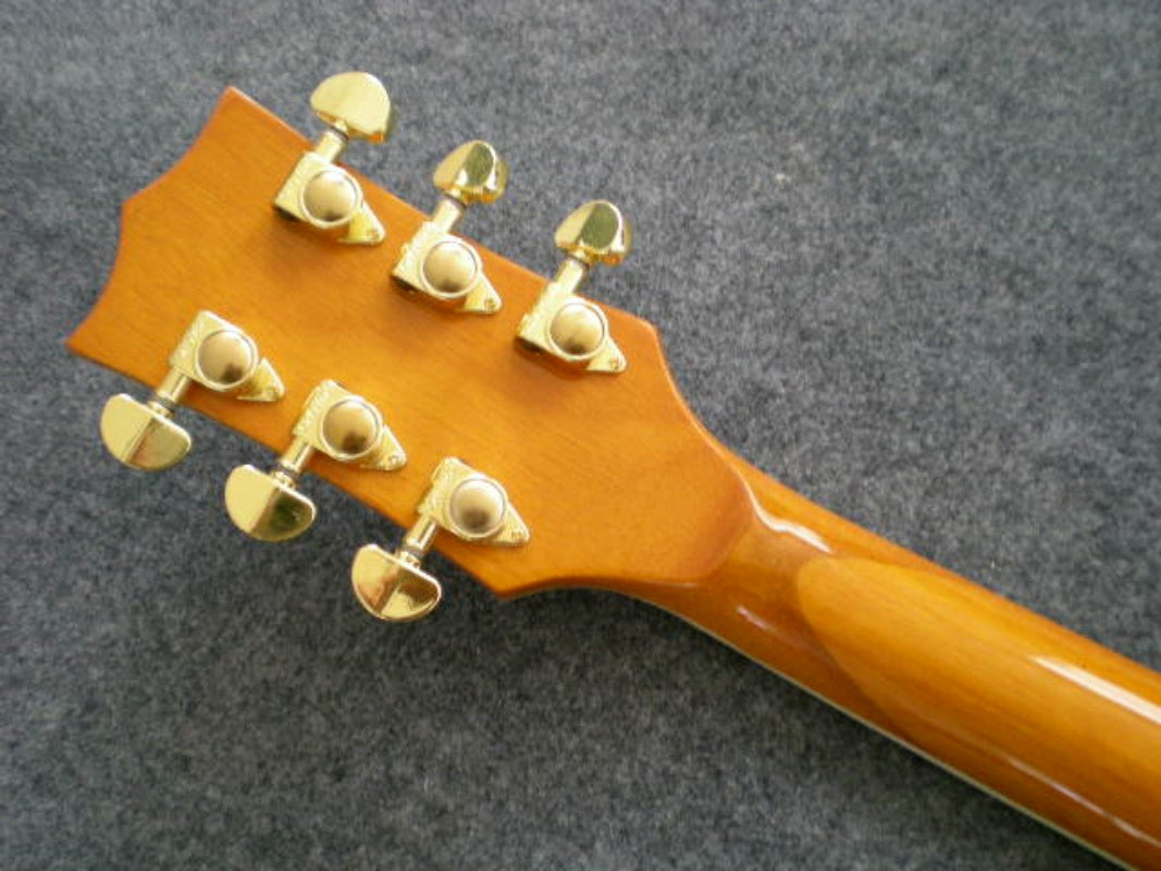 Customize Electric Guitar LSM046
