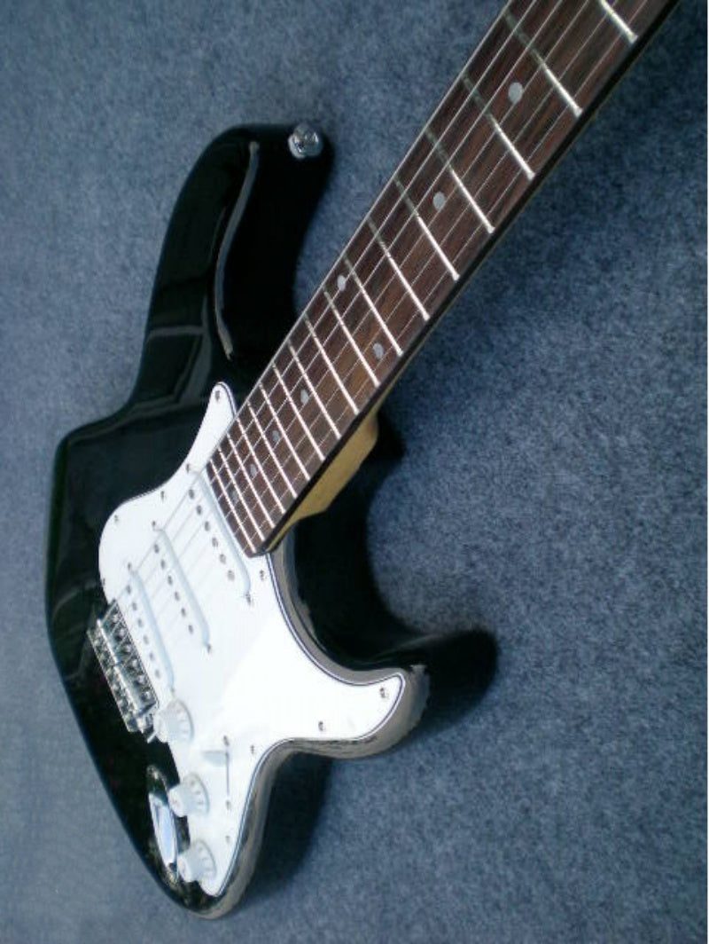 Customize Electric Guitar LSM146