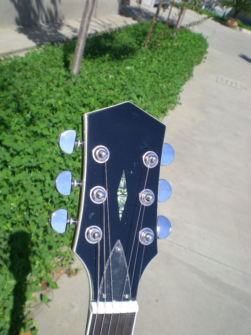 Customize Electric Guitar LSM080