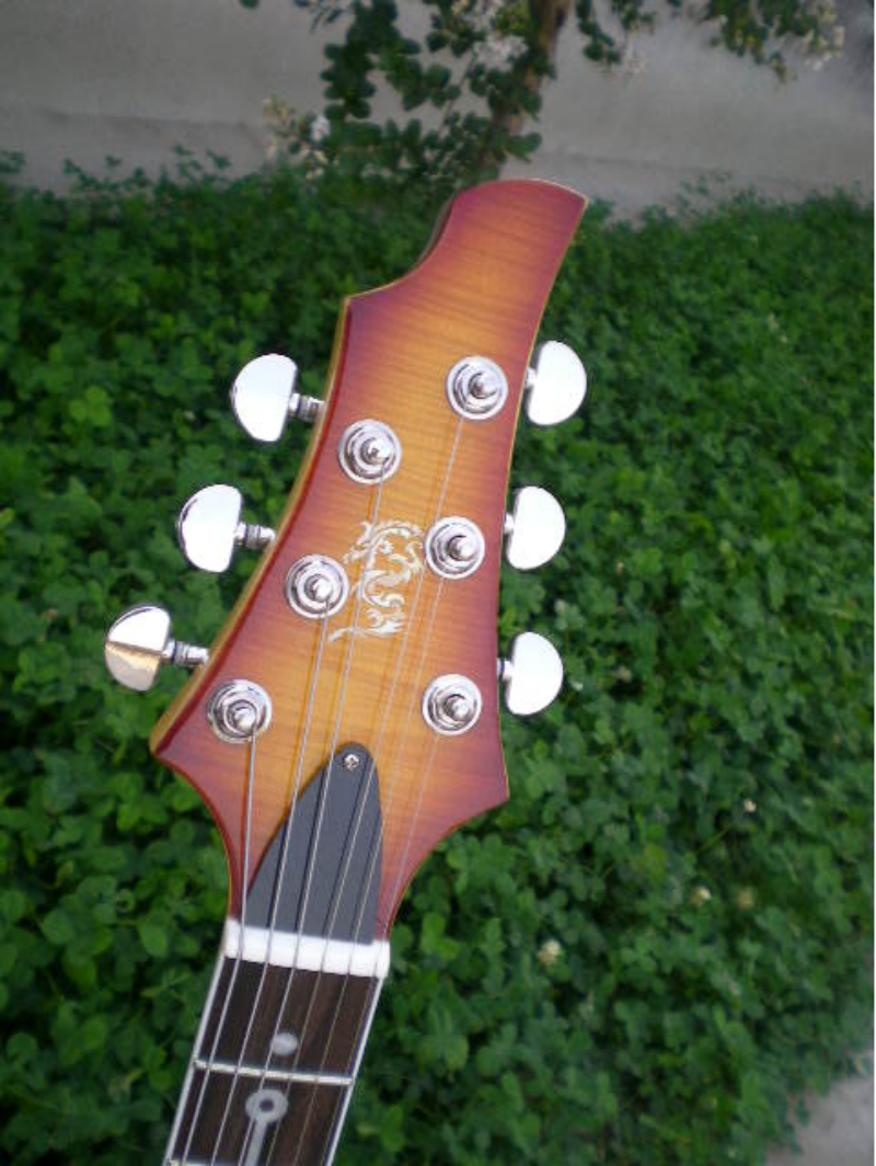 Customize Electric Guitar LSM094