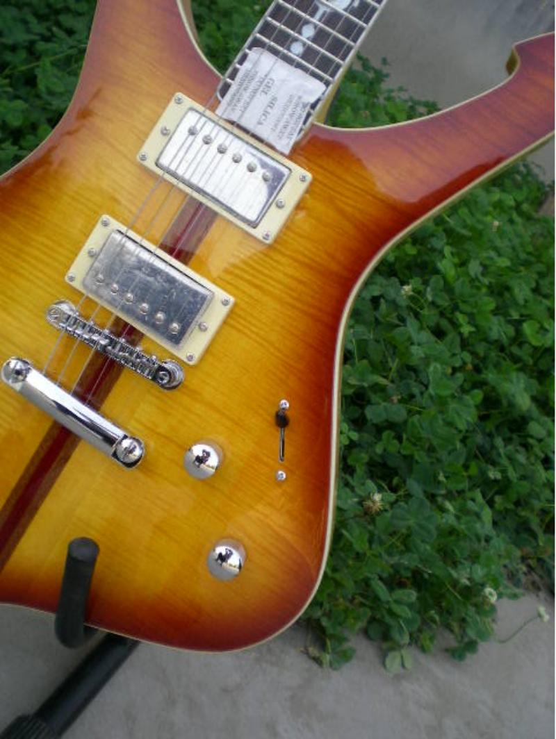 Customize Electric Guitar LSM094