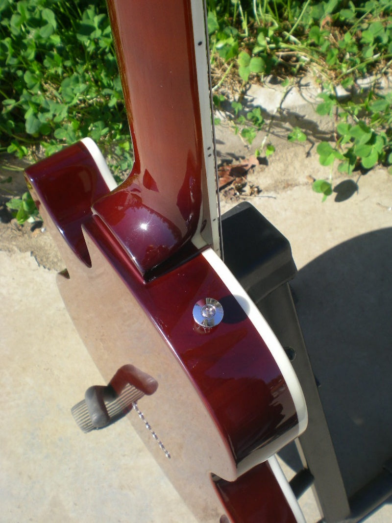 Customize Electric Guitar LSM080