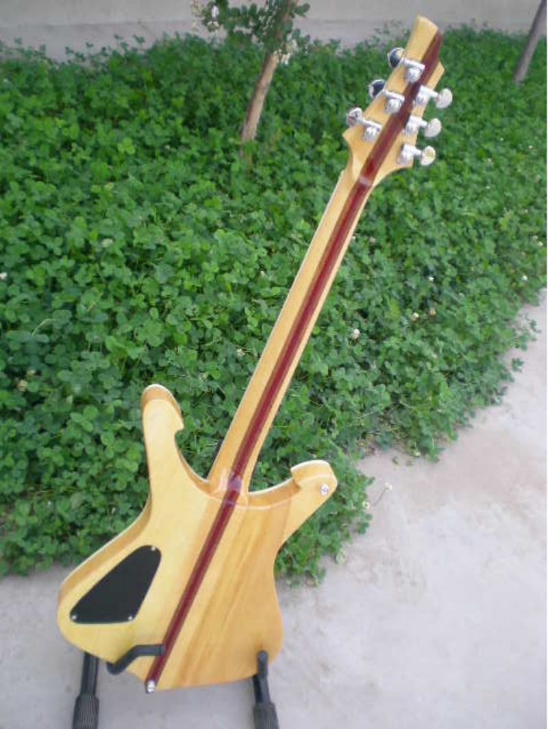 Customize Electric Guitar LSM094