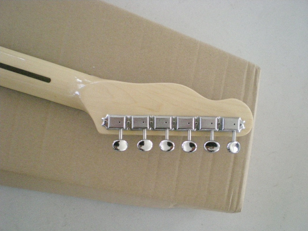 Customize Electric Guitar LSM009