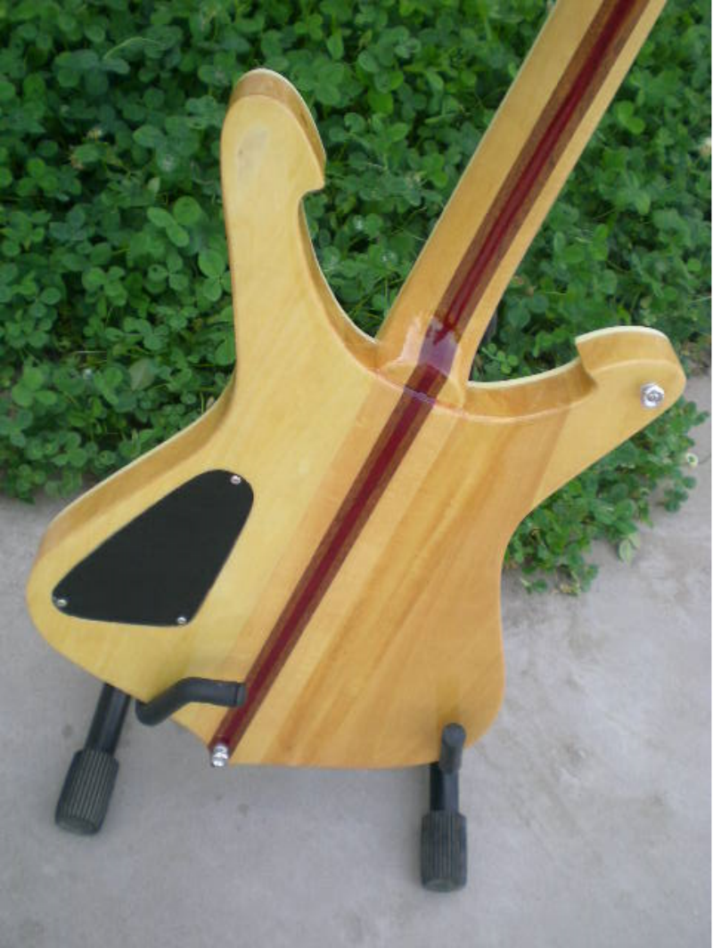 Customize Electric Guitar LSM094