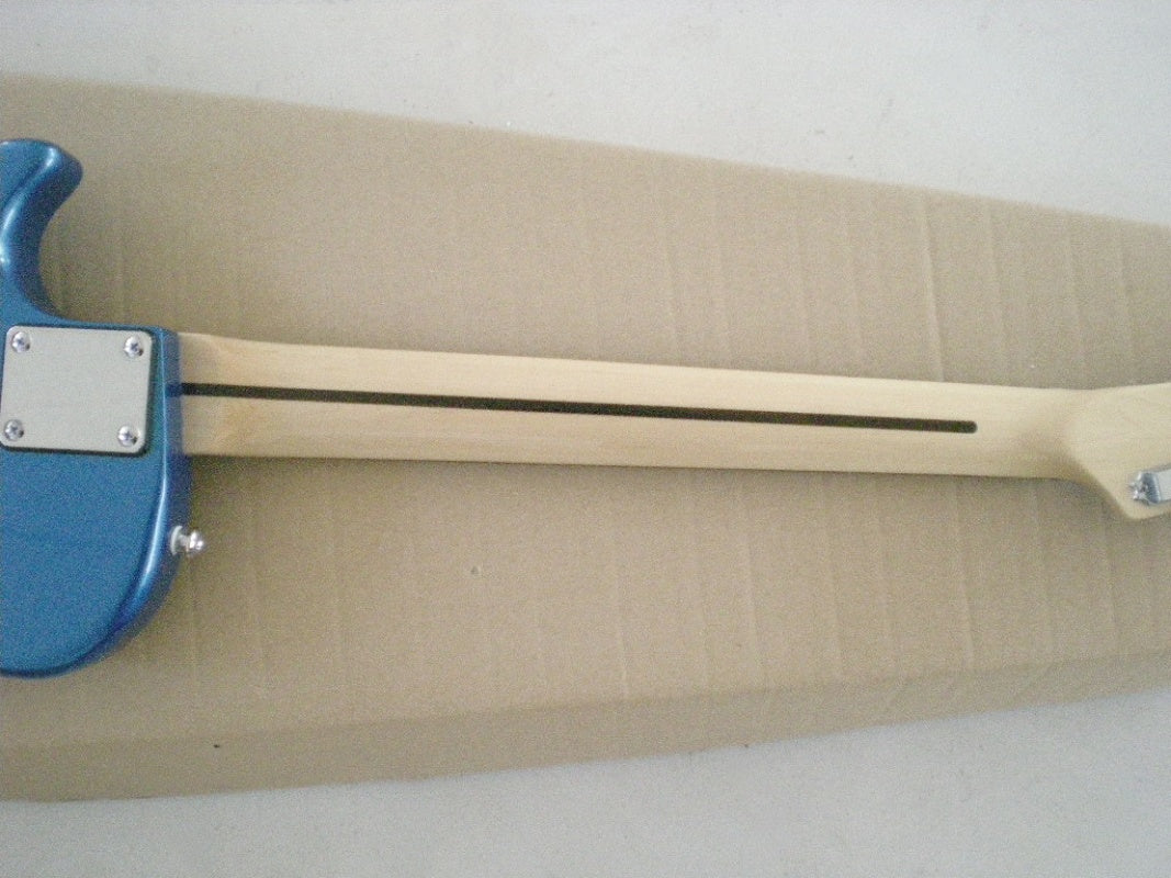 Customize Electric Guitar LSM009