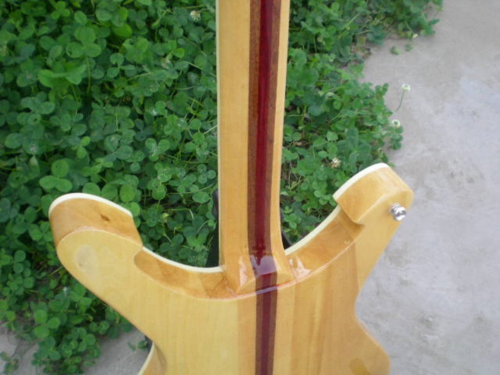 Customize Electric Guitar LSM094