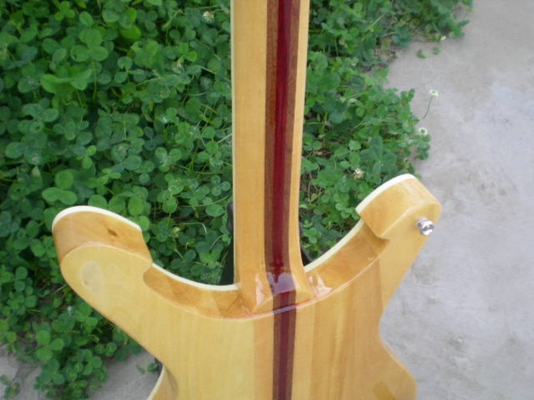 Customize Electric Guitar LSM094