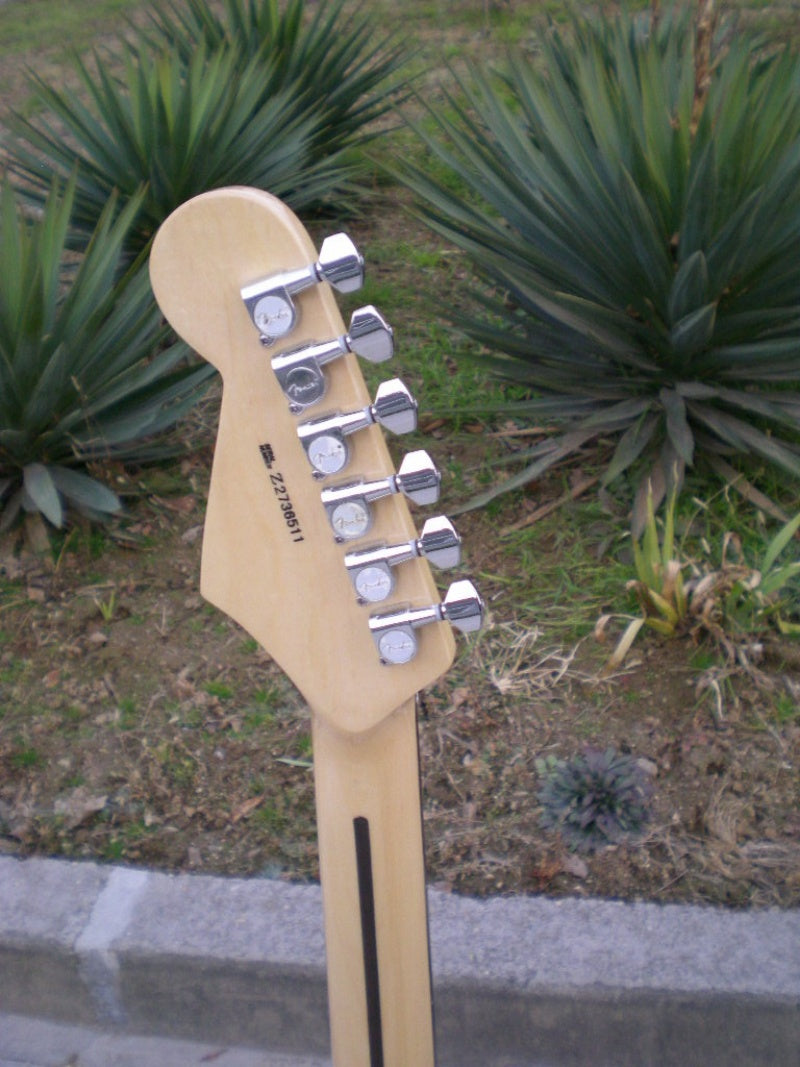 Customize Electric Guitar LSM158